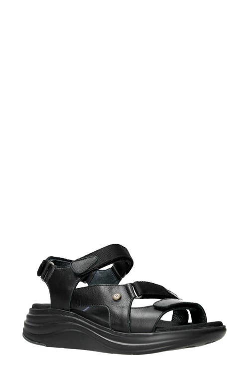 Cirro Sandal in Black