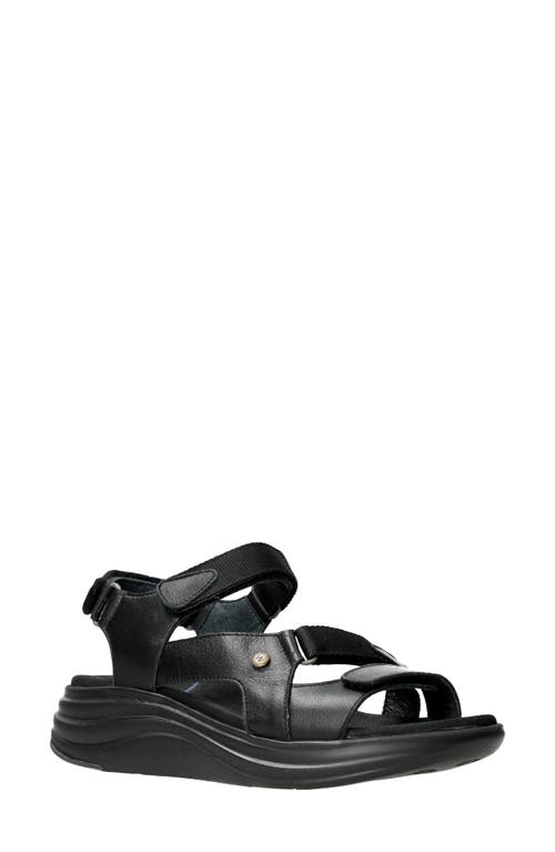 Wolky Cirro Sandal in Black at Nordstrom, Size 8Us