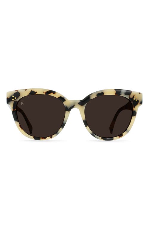 Shop Raen Kostin Nikol Polarized Square Sunglasses In Ivory Tortoise/carob