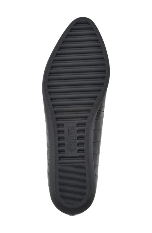 Cliffs By White Mountain Mint Pointed Toe Loafer In Black/print