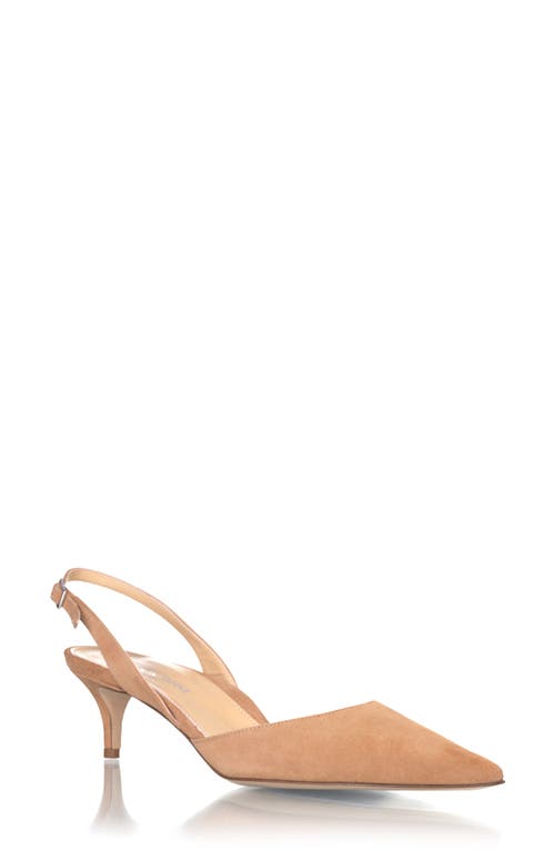 Classic Slingback Pointed Toe Pump in Caramel