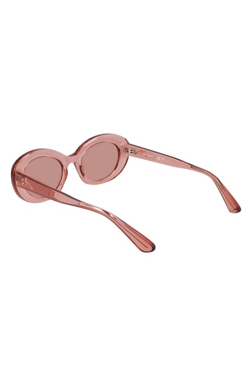 Longchamp Le Pliage 50mm Oval Sunglasses In Transparent Rose