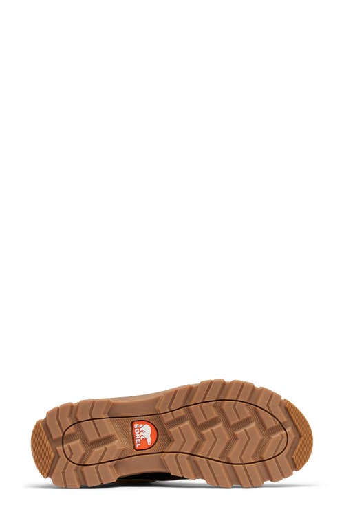 Sorel Caribou Waterproof Boots With Removable Inner Boot In Buff Nubuck Leather-brown In Curry/black