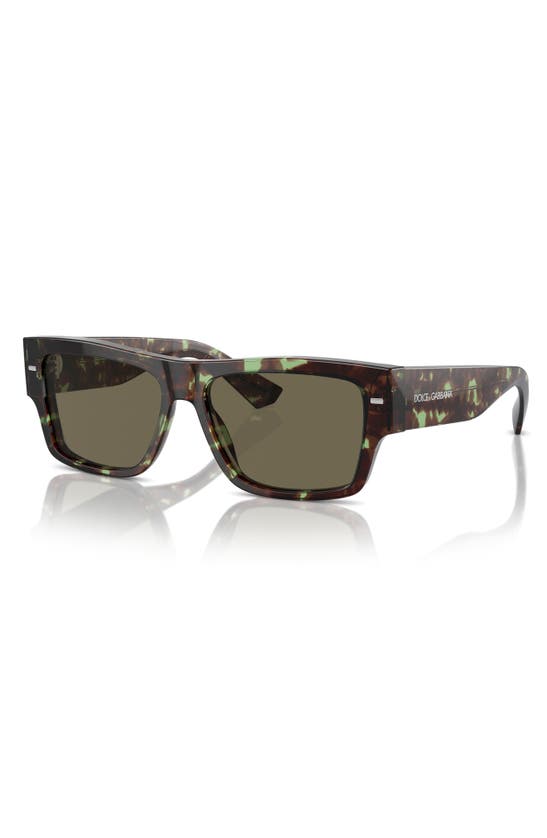 Shop Dolce & Gabbana 55mm Rectangular Sunglasses In Brown