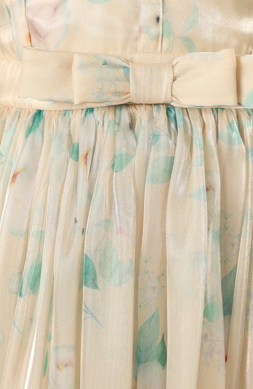 Petal And Pup Petal & Pup Freesia Floral Ruffle Maxi Dress In Multi