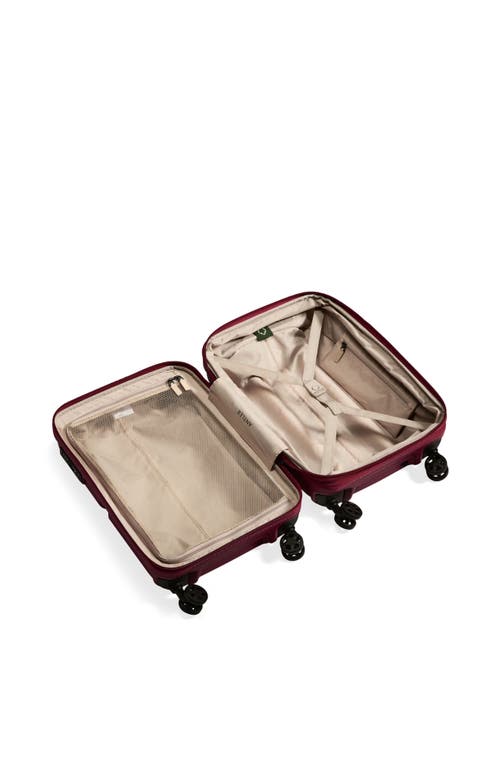 Antler Single Stripe Expandable Carry-on In Heather Purple