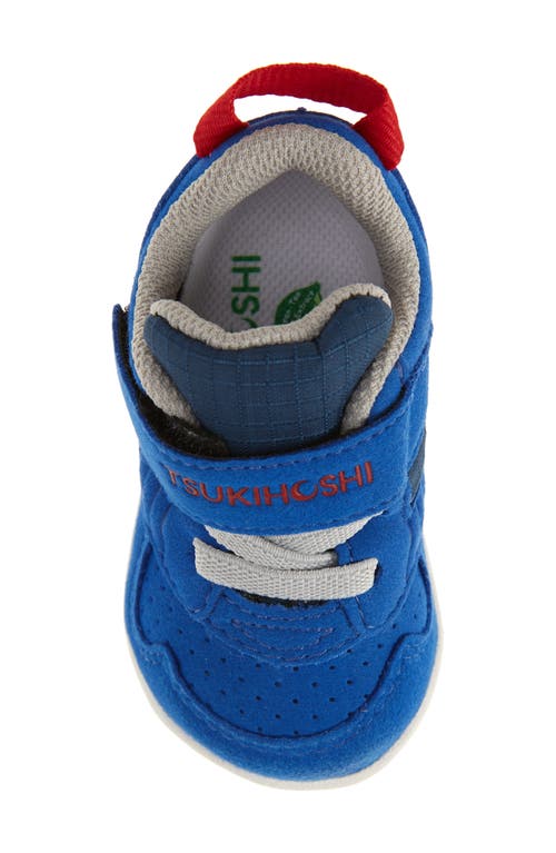 Shop Tsukihoshi Kids' Racer Sneaker In Royal/red