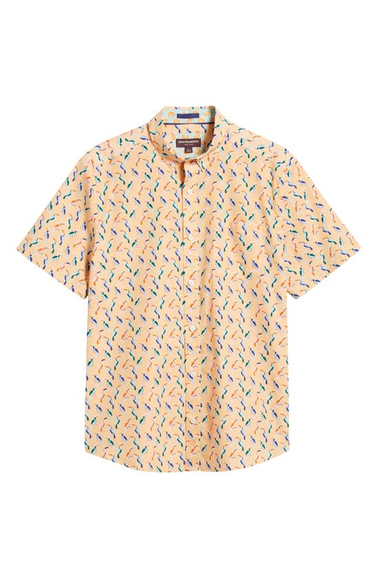 Shop Johnston & Murphy Toucan Print Short Sleeve Cotton Button-down Shirt In Melon