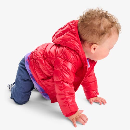 Shop Primary Baby Lightweight Puffer Jacket In Cherry