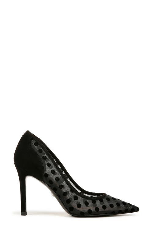 Shop Sam Edelman Hazel Mesh Pointed Toe Pump In Black Mesh