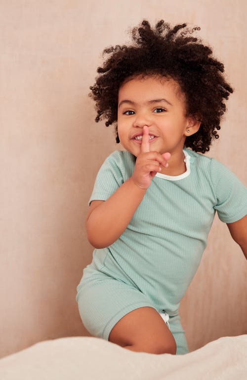 Mori Fitted Two-piece Rib Short Pajamas In Mint