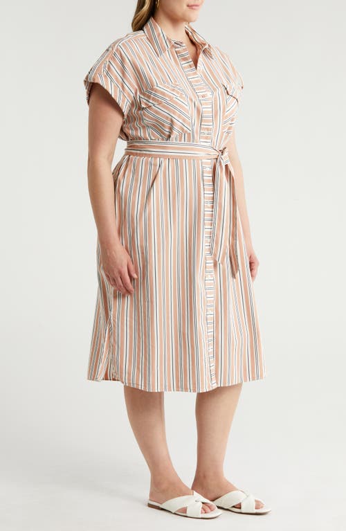 Shop Nordstrom Stripe Belted Cotton Utility Shirtdress In Beige Tuscany Leon Stripe