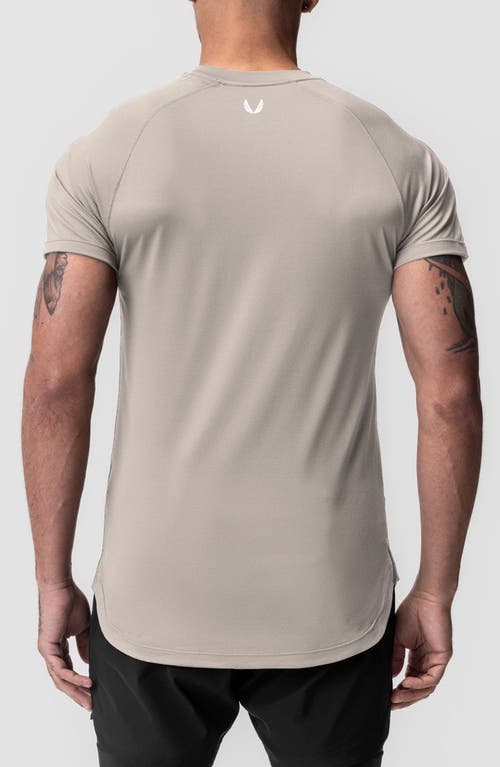 Shop Asrv Aerosilver® Established Tee In Chai