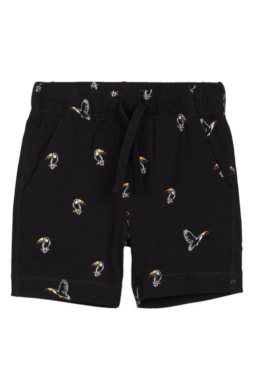 MILES BABY Kids' Toucan Print Organic Cotton Shorts Black at Nordstrom,