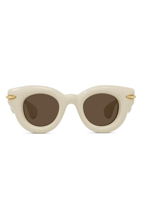 Shop Loewe Inflated Pantos 46mm Round Sunglasses In Ivory/brown