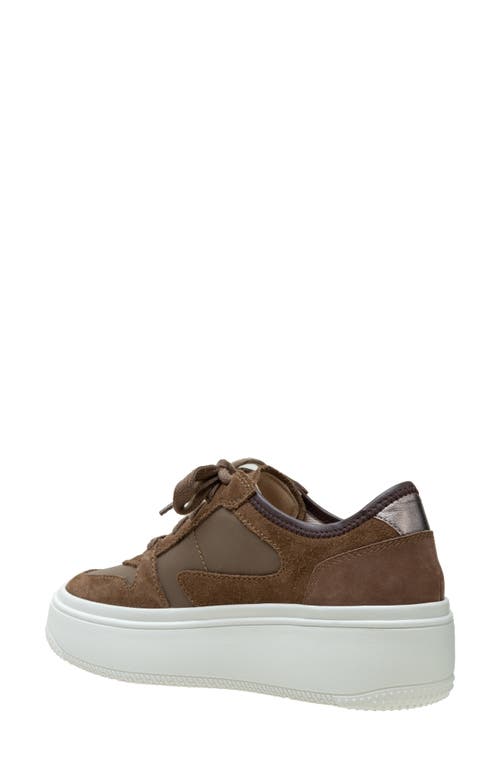 Shop Linea Paolo Gains Platform Sneaker In Dark Olive