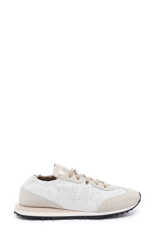 P448 Kelli Sneaker In Latte-fix