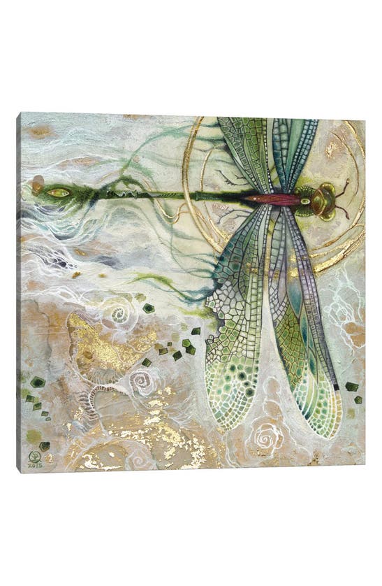 Icanvas 'damsel Fly Ii' By Stephanie Law Canvas Artwork In Multi