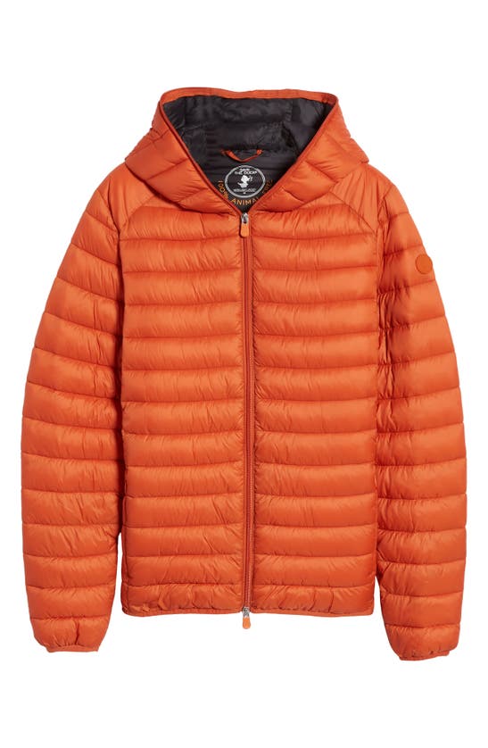 Save The Duck Donald Logo-patch Hooded Padded Jacket In Ginger Orange