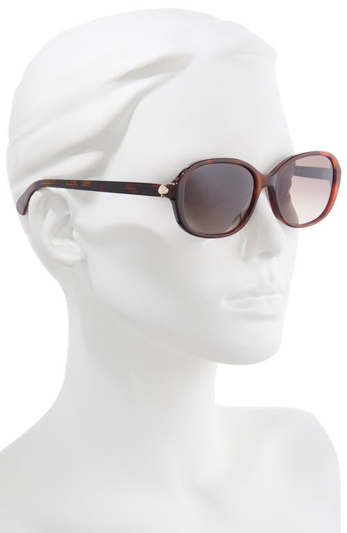 Shop Kate Spade New York Izabella 55mm Gradient Oval Sunglasses In Dark Havana/brown Gradient
