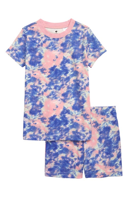 Tucker + Tate Kids' Fitted Two-Piece Short Pajamas in Blue Glacier Multi Wash
