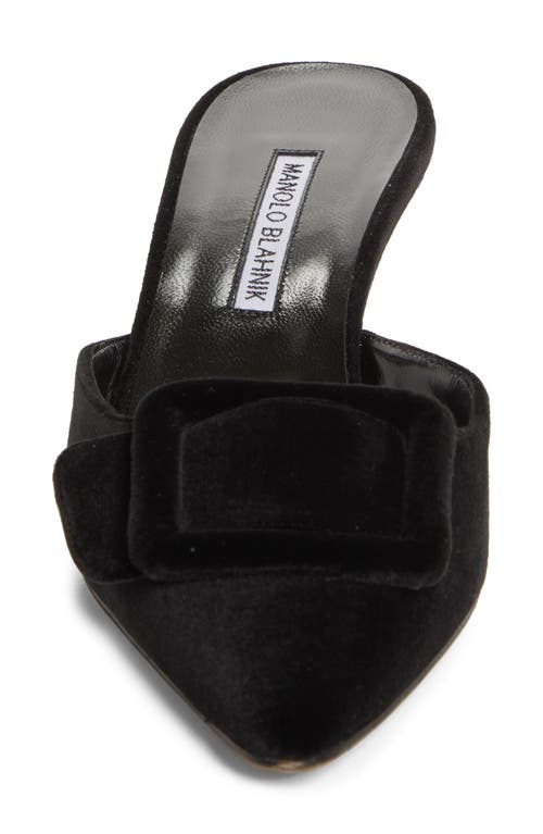 Manolo Blahnik 50mm Maysale Velvet Mules In Black
