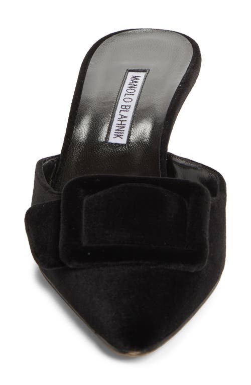 Shop Manolo Blahnik Maysale Buckle Pointed Toe Mule In Black