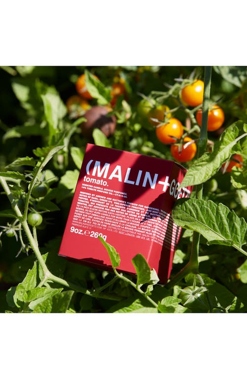 Malin + Goetz Tomato Scented Candle In No Color