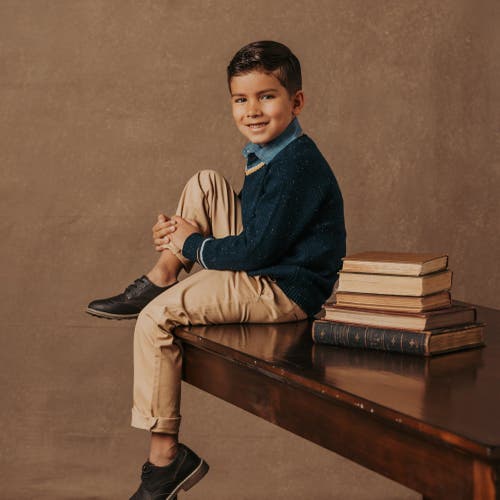Hope & Henry Boys' Organic V-neck Sweater, Kids In Navy Fleck With Tipping