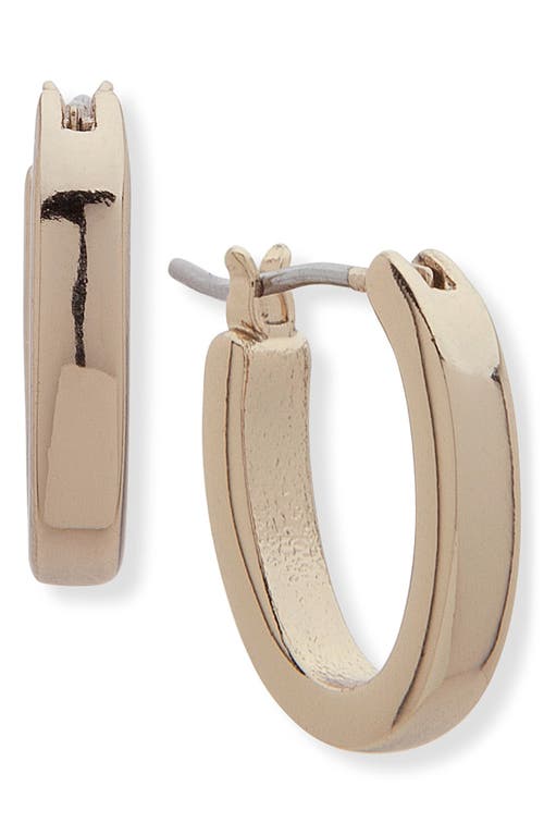 Lauren Ralph Lauren Oval Hoop Earrings in Gold at Nordstrom