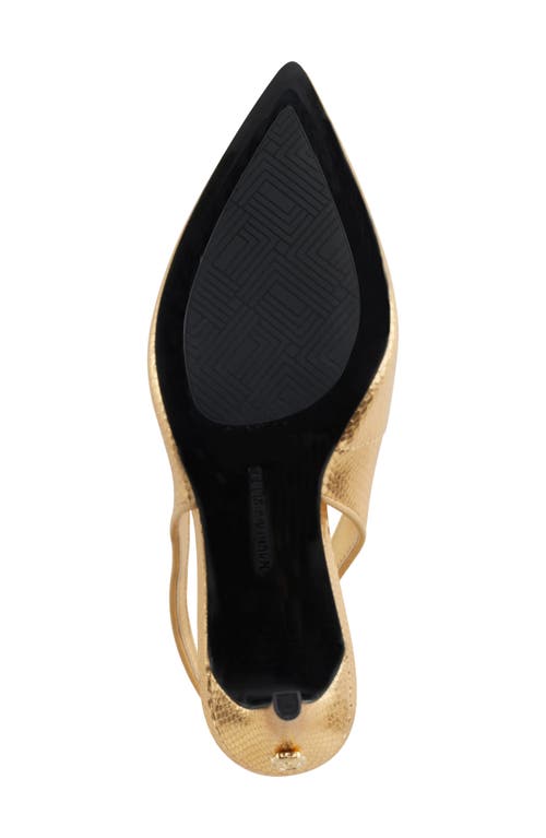 Shop Karl Lagerfeld Paris Rosalyn Snakeskin Embossed Pointed Toe Pump In Gold