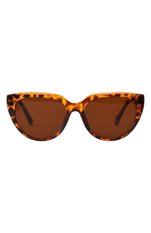Pepper 56mm Polarized Cat Eye Sunglasses in Torte/Brown