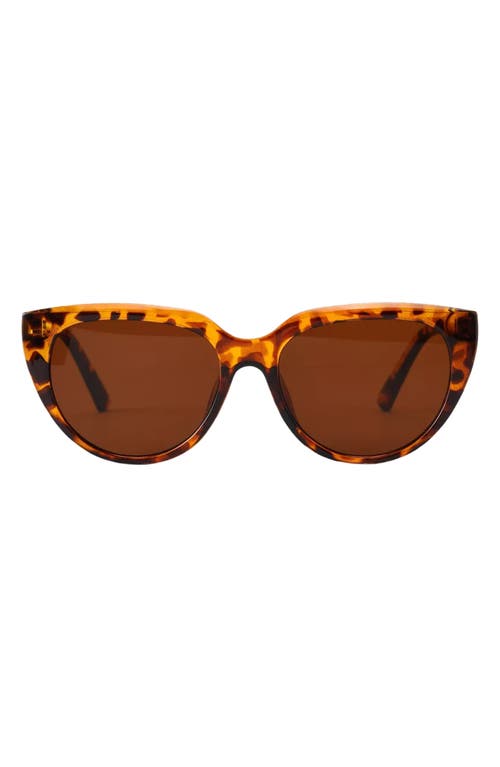 Fifth & Ninth Pepper 56mm Polarized Cat Eye Sunglasses In Torte/brown
