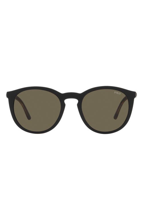 POLO 50mm Phantos Optical Glasses in Matte Havana at Nordstrom