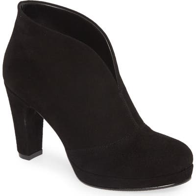 Cordani Noble Bootie - Black