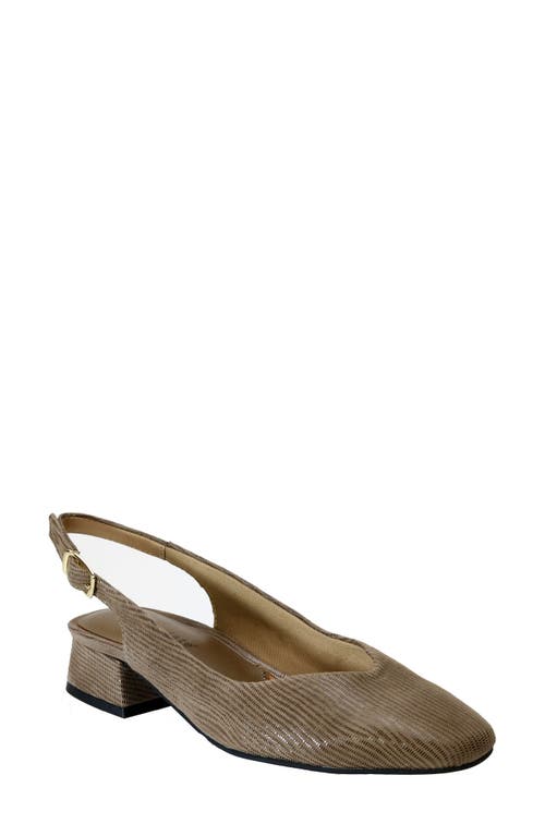 Shop David Tate Sugar Slingback Pump In Taupe Mini Lizard