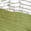 selected White/ Fern color