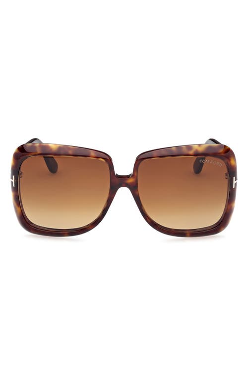 TOM FORD Lorelai 59mm Square Sunglasses in Shiny Dark Havana /Brown at Nordstrom