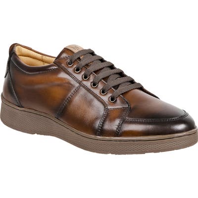 Sandro Moscoloni Wes Sneaker, Brown