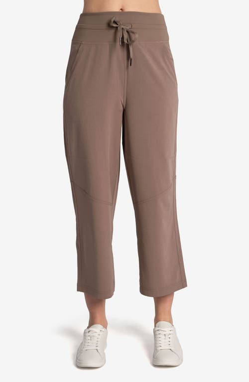 Momentum Crop Drawstring Pants in Fossil