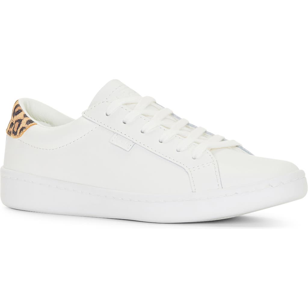 Keds ® Ace Leo Leather Sneaker In White/tan