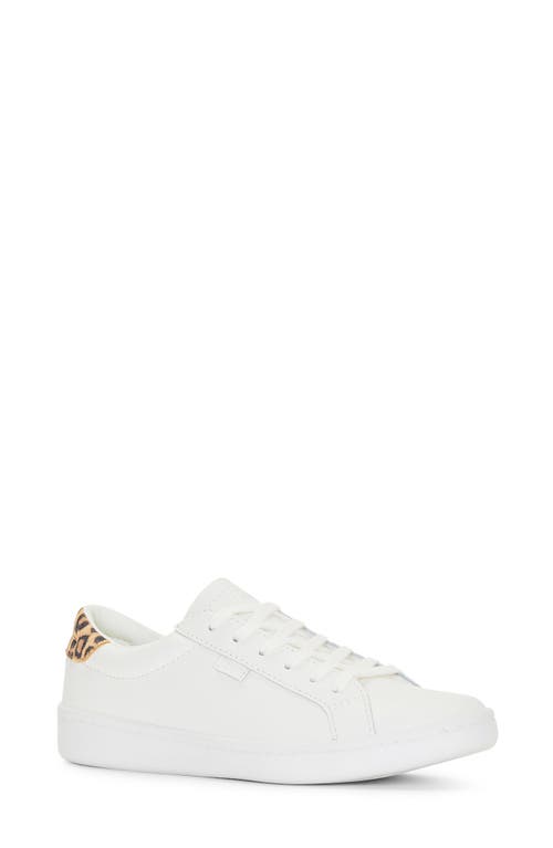 Shop Keds ® Ace Leo Leather Sneaker In White/tan