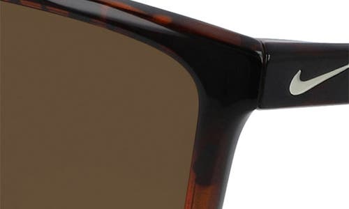 Nike Valient 60mm Square Sunglasses In Tortoise/dark Brown