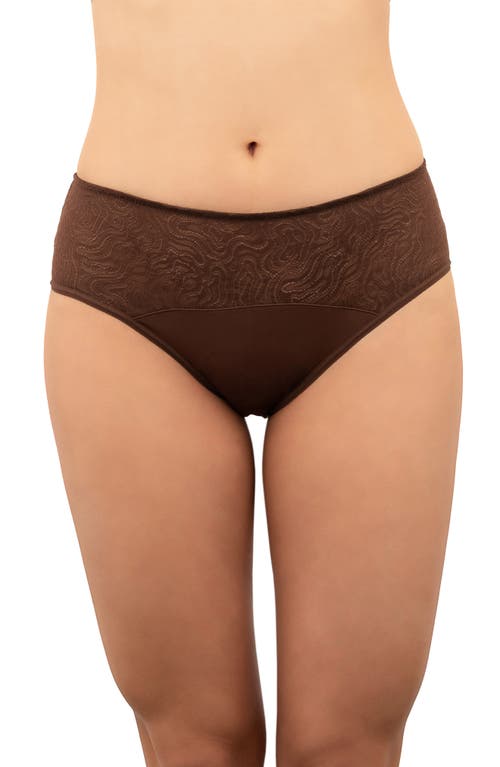 Period & Leakproof Light Absorbency Lace Hipster Panties in Rich Earth