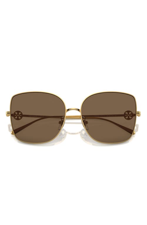 Tory Burch 60mm Oversize Butterfly Sunglasses In Gold/gold