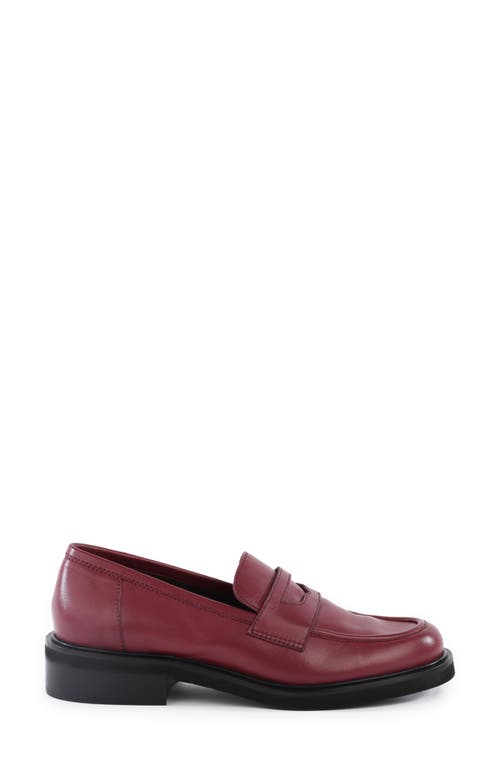 Shop Seychelles Superior Penny Loafer In Burgundy Leather