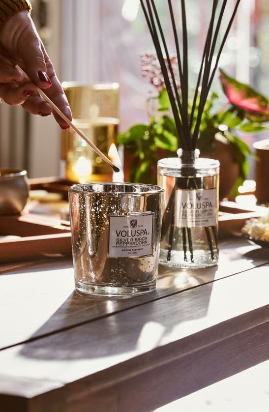 Voluspa Silver Birch & Peppercorn Classic Candle In Silver Birch