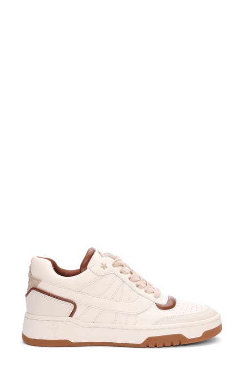 Shop Ash Blake Sneaker In Gardenia/amber