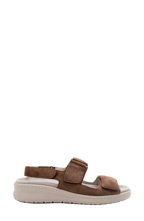 Shop David Tate Key Comfort Slingback Sandal In Brown