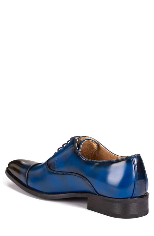 Gino Vitale Cap Toe Oxford In Blue